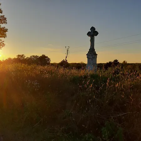 Boglárka * Vasvár