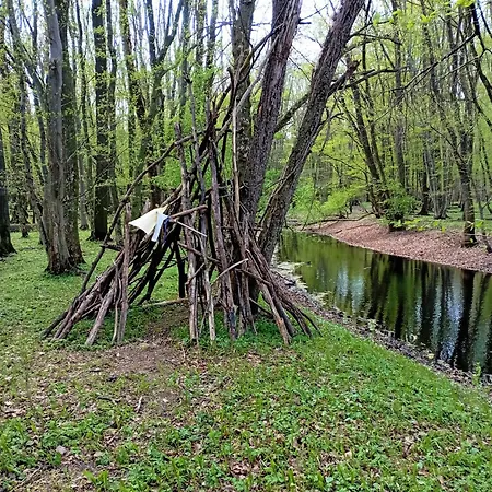 Boglarka Vendeghaz Vasvar