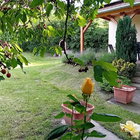 Holiday home Boglarka Vendeghaz Vasvar