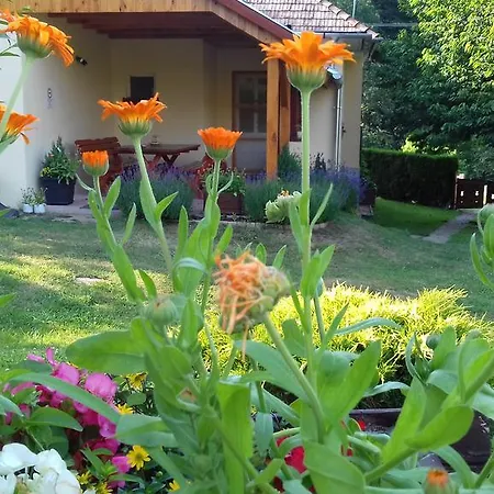 Boglarka Vendeghaz Vasvar