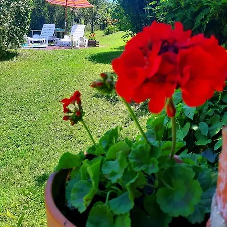Boglárka Сasa de vacaciones