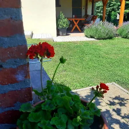 Boglárka * Vasvár